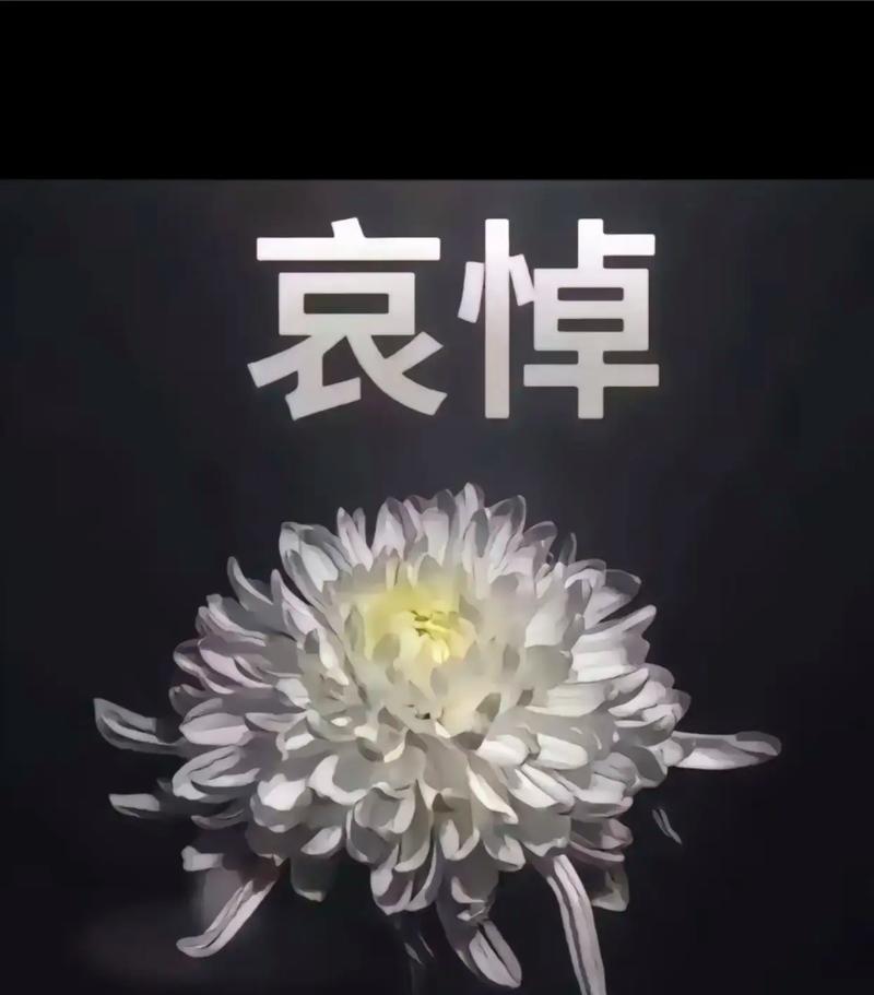 山东哀悼徐长锁指导：以灯传灯，心灯不灭，师恩致远，深切缅怀