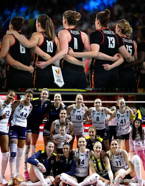 26女篮世界杯预选赛分组：中国&马里&南苏丹&比利时&巴西&捷克A组