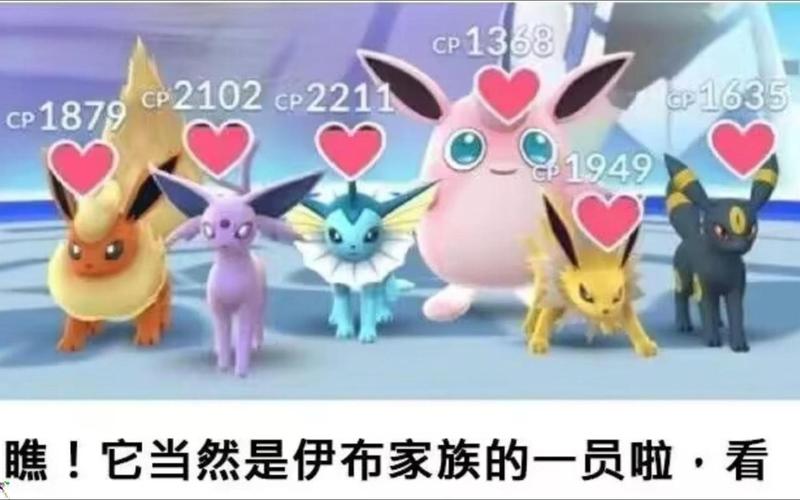 比伊布大11岁！伊布：我向女友求婚遭拒绝，她是唯一对我说不的人