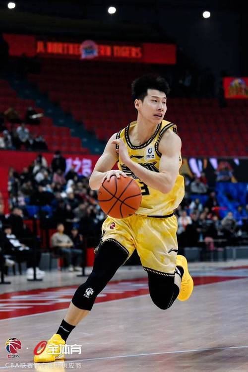 ：前山东&浙江锋线外援贾马尔·盖利加盟吉林东北虎男篮