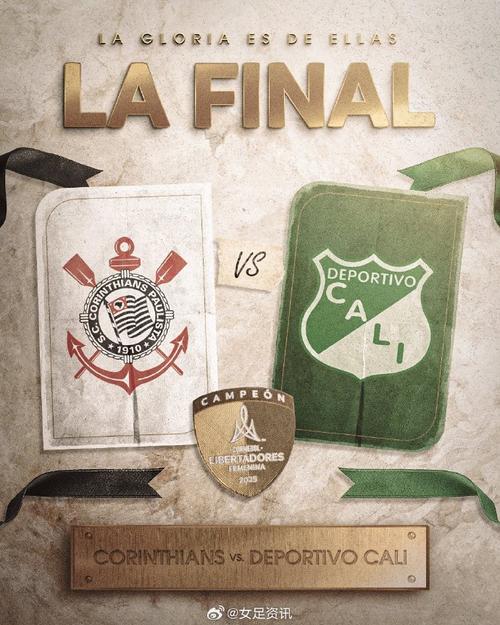 巴西球队25次夺得解放者杯冠军，追平阿根廷球队夺冠次数